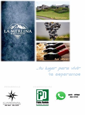 Terrenos La Merlina Country Wine - La Consulta Mendoza