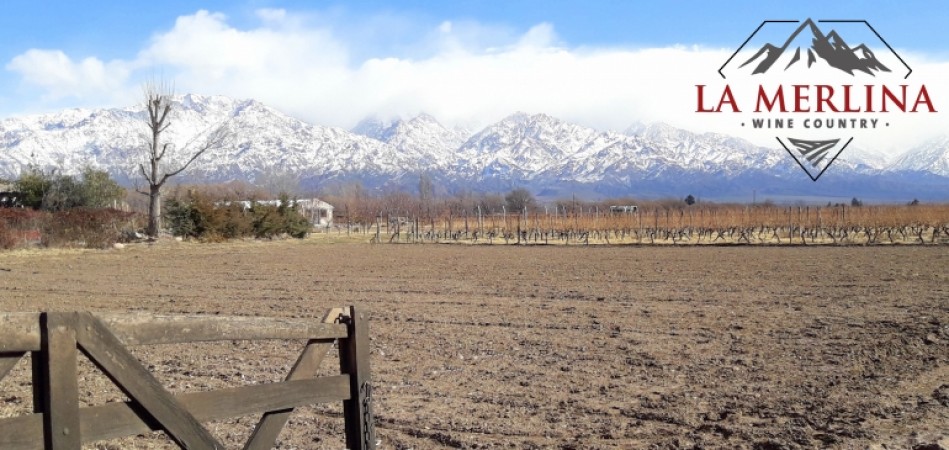 Terrenos La Merlina Country Wine - La Consulta Mendoza