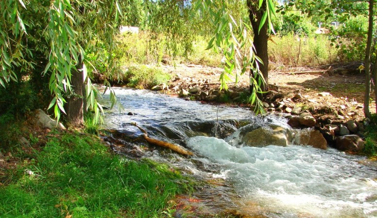 Terreno y Viviendas en Manzano Histórico Tunuyán Mendoza