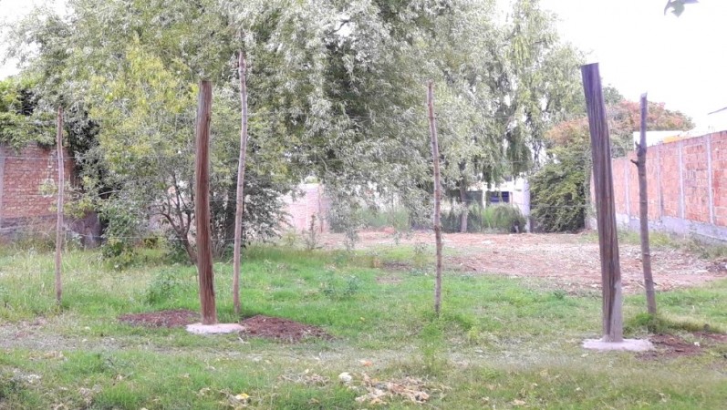 Terreno 637 m2 calle Roca Tunuyán Mendoza